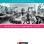 programa curricular primaria 0