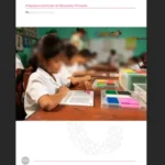programa curricular primaria parte 6